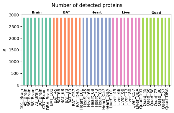 ../_images/tutorials_bludau-2021_tissue-specific-proteoform-inference-across-five-mouse-organs_29_1.png