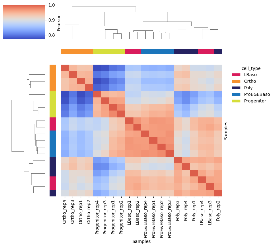 ../_images/tutorials_karayel-2020_proteome-remodeling-during-human-erythropoiesis_43_1.png